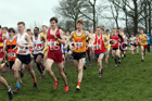 Senior boys 2019 New Balance English Schools Cross Country Champs, Temple Newsam, Leeds. Photo:  David T. Hewitson/Sports for All Pics